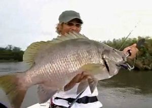 VIDEO: Papua New Guinea black bass